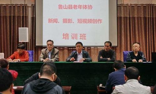 鲁山县最新爆料新闻报道,揭秘事件背后真相